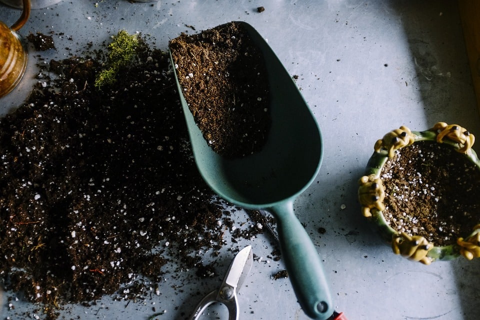 Saisonale Pflanzideen für den Garten